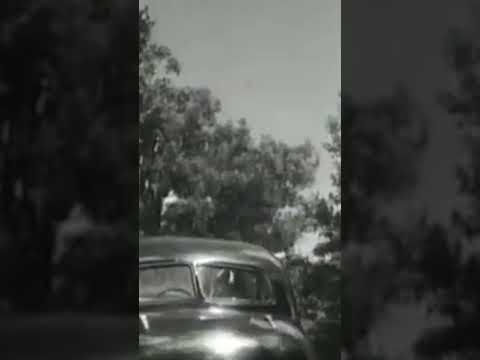 Imagine walking and getting hit by a boomerang drive by